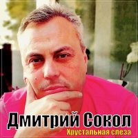 Скачать песню Дмитрий Сокол - Хрустальная слеза