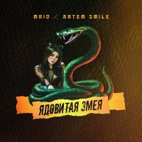 Скачать песню Mrid, Artem Smile - Ядовитая змея зацепила пацана