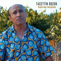 Скачать песню Tacettin Bozok - Kaderime Dargınım