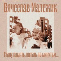 Скачать песню Вячеслав Малежик - Небо Родины