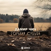 Скачать песню Дамир Чич - Горькая судьба