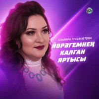 Скачать песню Эльвира Мухаметова - Йөрәгемнең калган яртысы