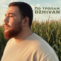 Скачать песню DZHIVAN - По тропам