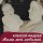Скачать песню Алексей Фадеев - Мама моя любимая